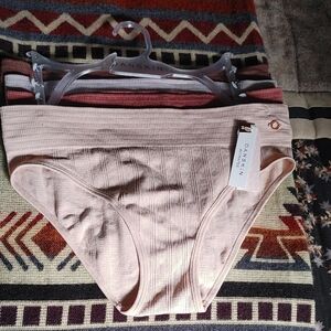 Danskin Ribbed Pink Briefs